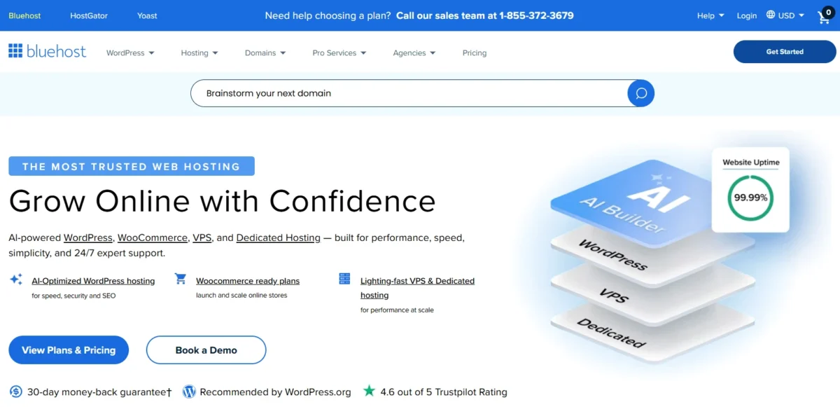 Bluehost hosting solution for growing businesses and WordPress websites