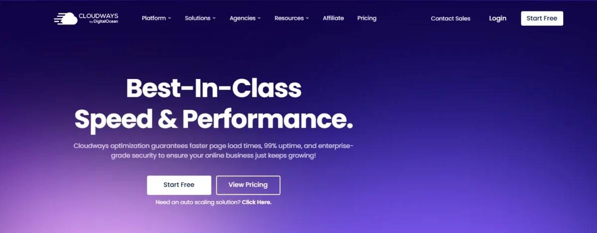 Cloudways Speed and Performance (The Real Deal)